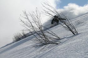 AkkiSkigottColonia01.jpg