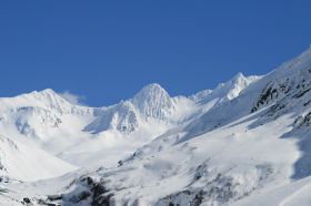 Alaskandermatt01.jpg